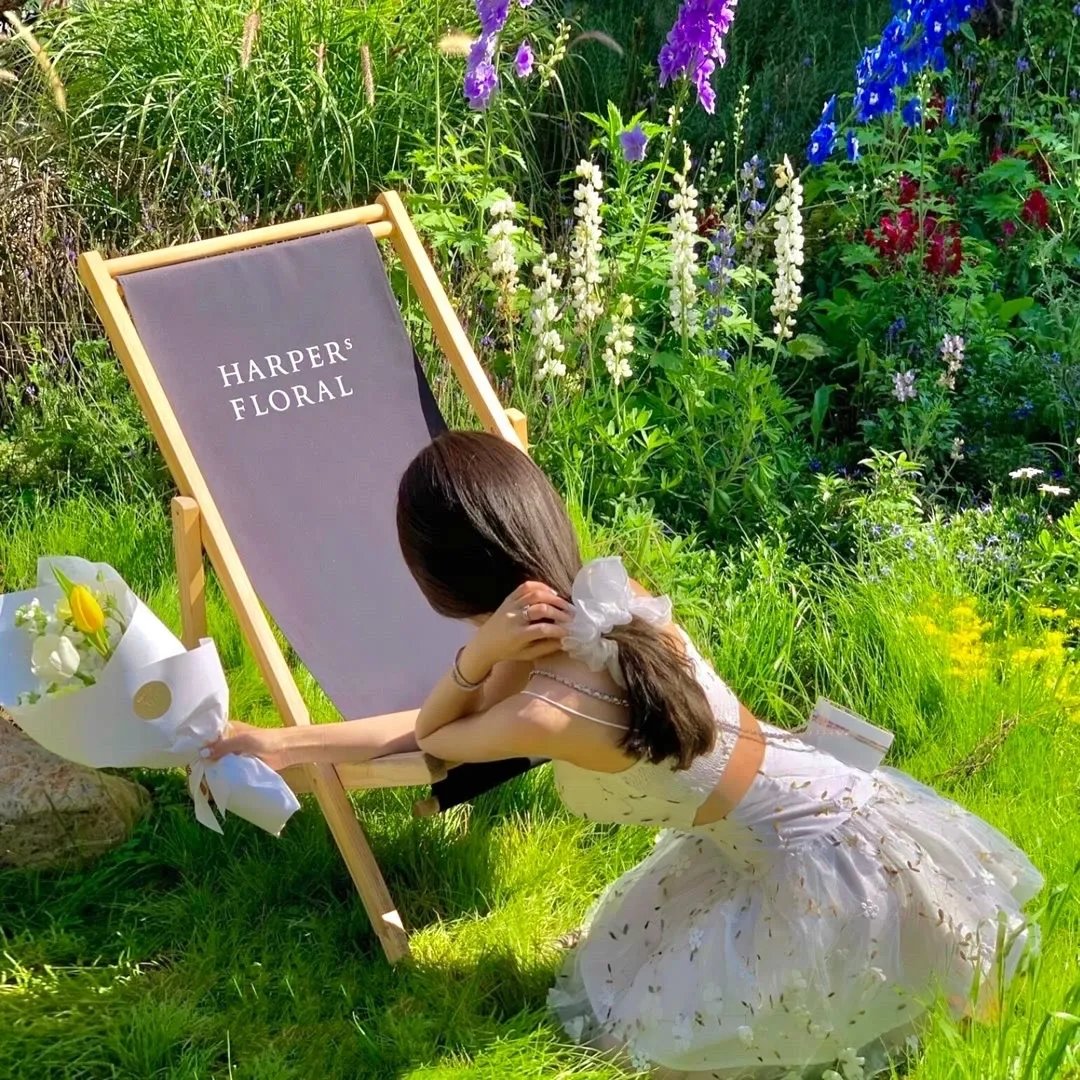 大卫·爱登堡:地球上的一段生命旅程